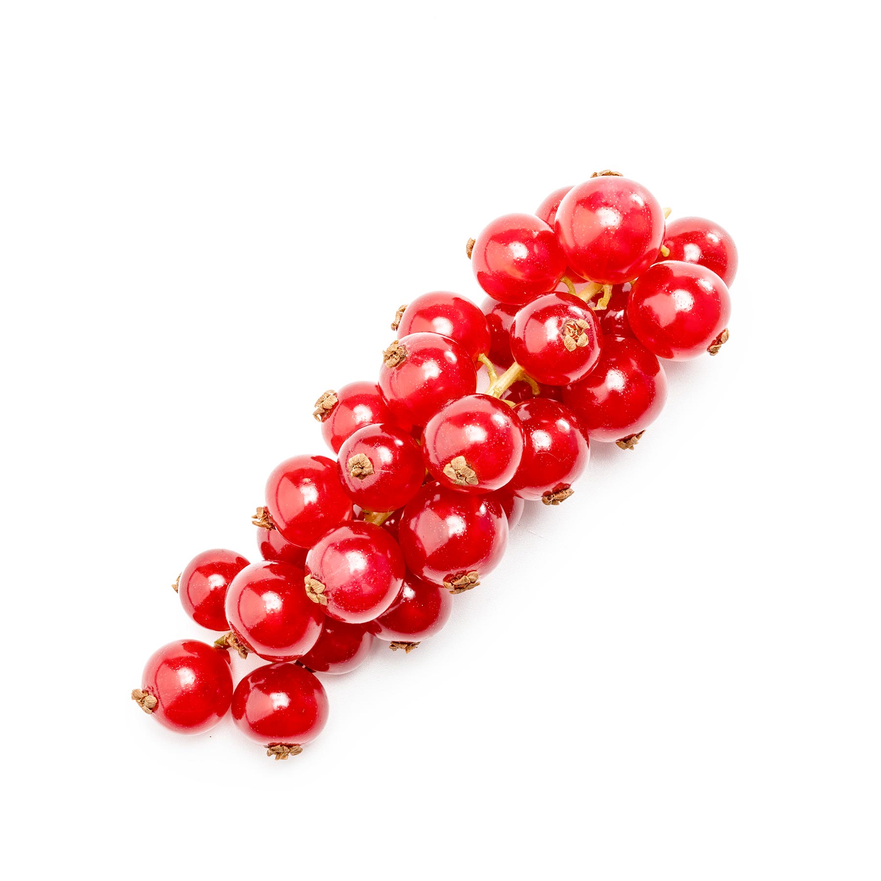 Red currants