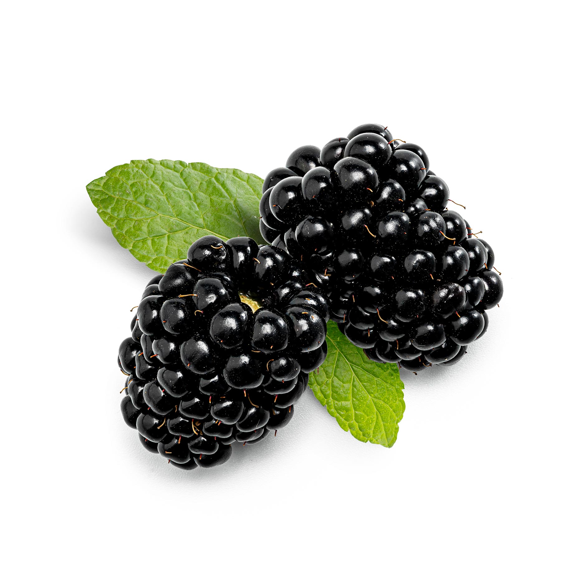 Blackberries